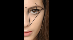  When I think of Eyebrows Brooke Shields pops in my head Clients are always asking me how to grow their eyebrows out so I put together a little list that might help :)  Massage castor oil OR olive oil daily into your brows  Take Biotin supplements which helps with hair growth all over your body Rub in some aloe vera at night into your eyebrows • Fenugreek seeds: Grind fenugreek seeds into a paste and apply this paste on your brows at night or early in the morning hours before you take a bath. Almond Oil: Massage your brows with almond oil. You can also mix almond oil with the fenugreek seed paste and apply it on your brows. Coconut Milk : Dip a cotton dab or a sponge into milk and apply it on your brows. I’ve even heard of people trying Rogaine on them